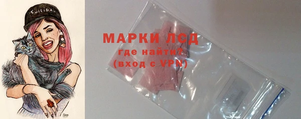 амф Пересвет