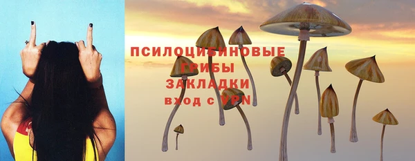 стаф Пестово