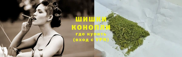 стаф Пестово