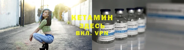 амф Пересвет