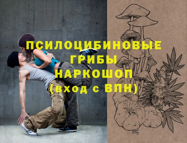 амф Пересвет
