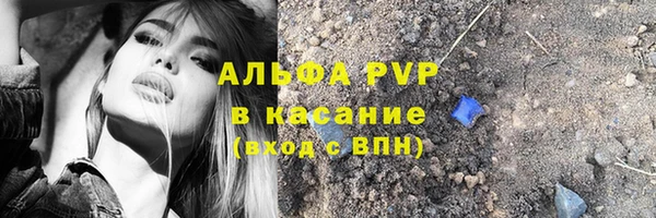 стаф Пестово