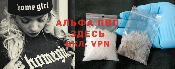 амф Пересвет