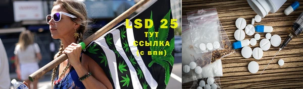 стаф Пестово