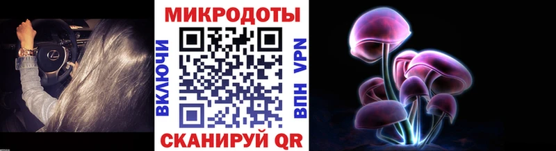 купить наркотик Ржев Галлюциногенные грибы GOLDEN TEACHER