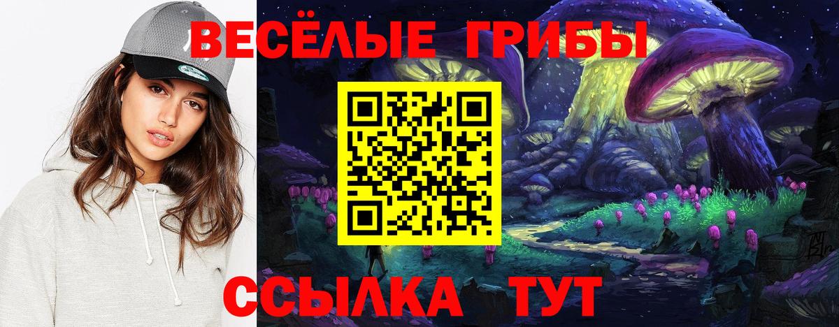 Галлюциногенные грибы мицелий  Вход с VPN  Ржев 